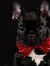 Beau Creson