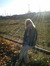 Margit