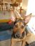 Amy