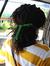 Sharon Beckles Widell