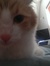 Jenny