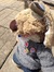 Pooch Parsons