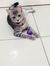 FITRI YANA