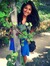 Laxmi