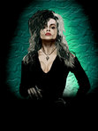 Bellatrix Bellatrix