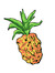 Pineapple Press