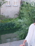 Kubra