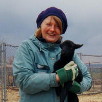 Jane LeCompte profile picture
