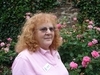 Ilene Schneider profile picture