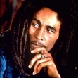 Ebook The Future Is The Beginning: The Words and Wisdom of Bob Marley read Online! Ebook The Future Is The Beginning: The Words and Wisdom of Bob Marley read Online!