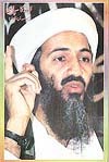 Osama bin Laden profile picture