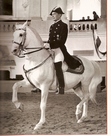 Ebook Complete Training of Horse and Rider in the Principles of Classical Horsemanship: In the Principles of Classical Horsemanship read Online! Ebook Complete Training of Horse and Rider in the Principles of Classical Horsemanship: In the Principles of Classical Horsemanship read Online!