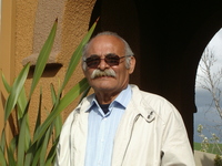Mahmoud Seraji