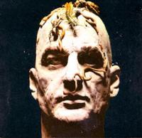 Herbert van Thal profile picture