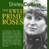 Shirley Collins profile picture
