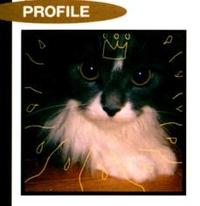 Kano Miyamoto profile picture