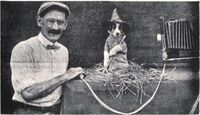 Harry Whittier Frees profile picture