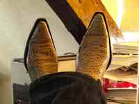 Nick Harkaway profile picture