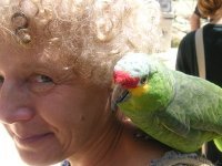 Wendy Walker profile picture