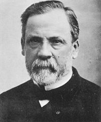 Louis Pasteur profile picture
