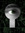 Monocle