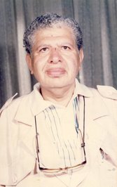 حامد ربيع