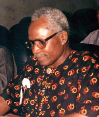 Elechi Amadi profile picture