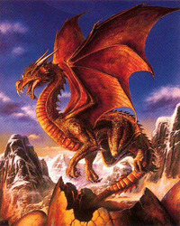 Amber Kallyn profile picture