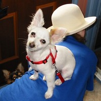 Sally Rogers-Davidson