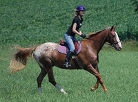 Whitney Sanderson profile picture
