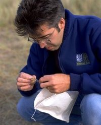 Steve Alton profile picture