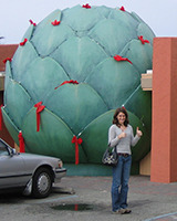 Anne Dayton profile picture