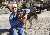 Ann Elwood profile picture