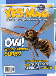 YES Mag profile picture