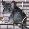 Adara O’Hare profile picture