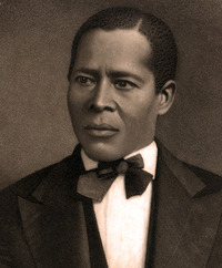 William Still profile picture