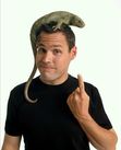 Ebook Creepy-Crawly Critters read Online! Ebook Creepy-Crawly Critters read Online!