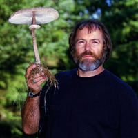 Paul Stamets profile picture