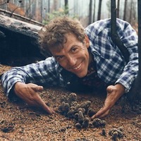 David Arora profile picture