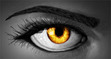 Ebook Crux read Online! Ebook Crux read Online!