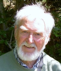 Harry Nicholson profile picture