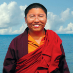Tsoknyi Rinpoche profile picture