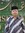 Aceng Z...