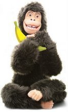 Marc N. Kleinhenz profile picture