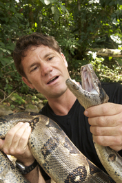 Steve Backshall profile picture