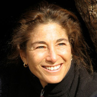 Tara Brach profile picture