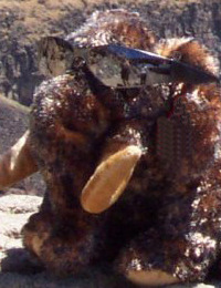 Charlotte Lewis Brown