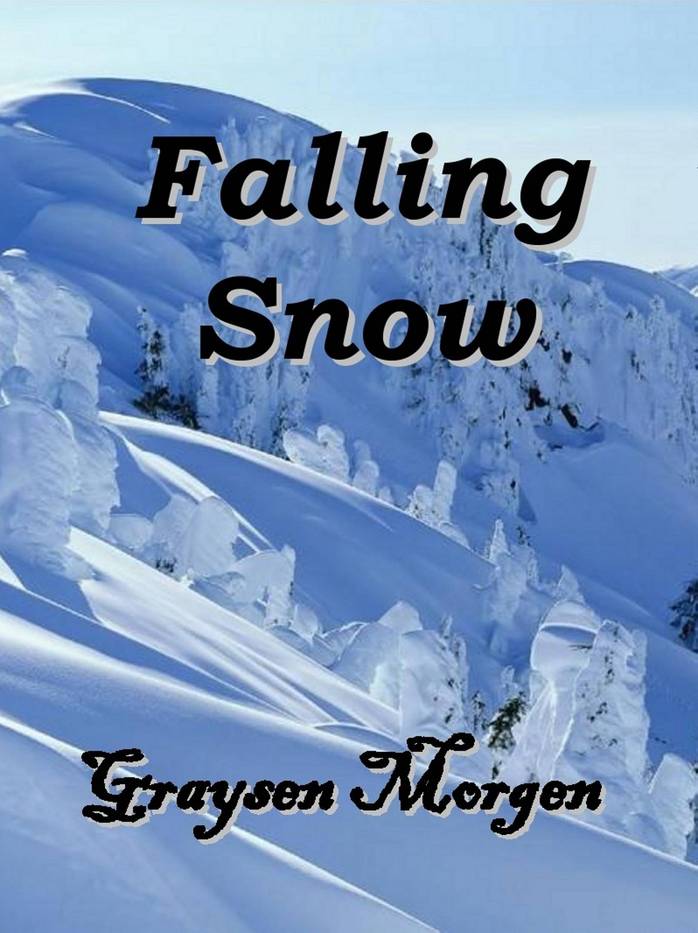 The snow fell. A large amount of snow falling down the side of a mountain is an.