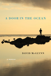 David McGlynn