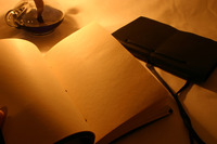 Dawn M. Turner profile picture